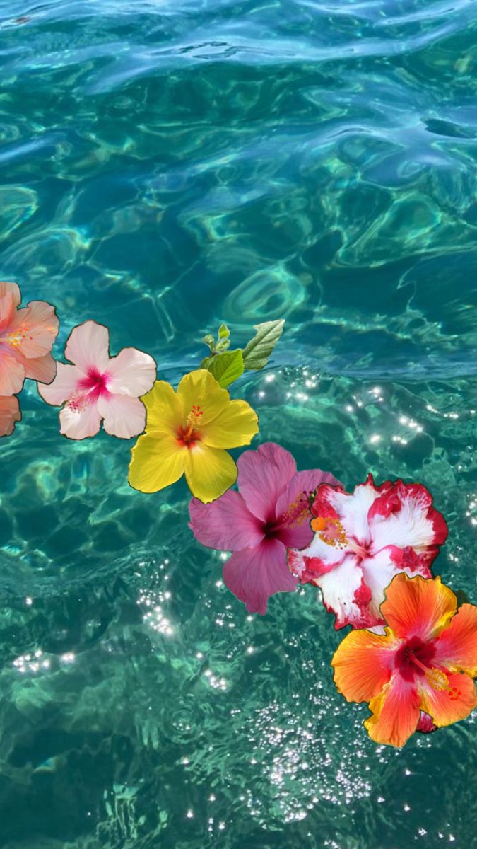 colorful flowers floating in the water on a sunny day