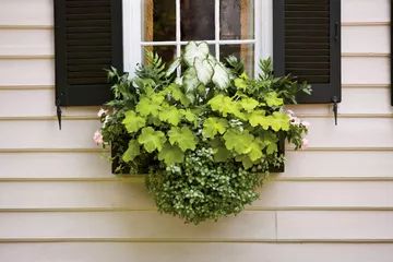 a window box with green plants in it