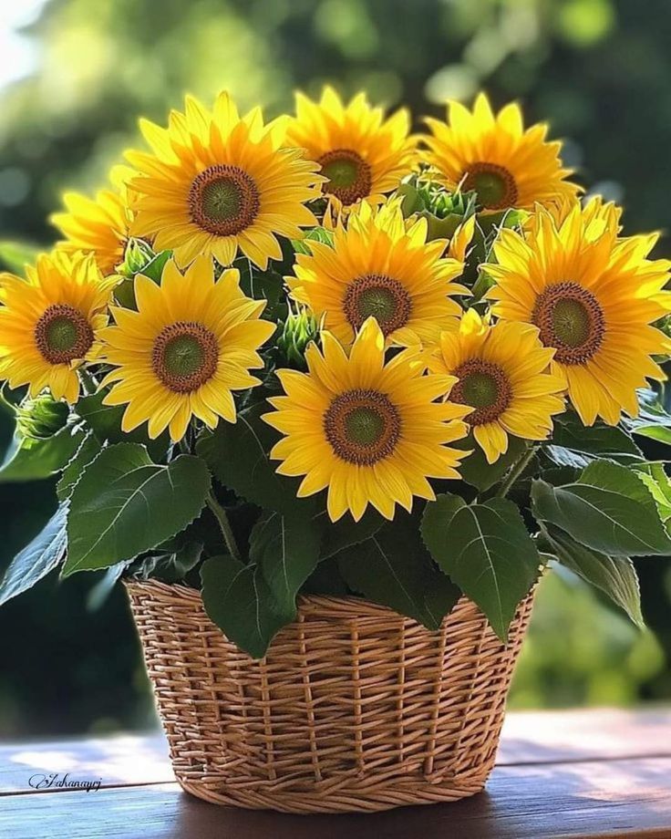 a basket filled with lots of yellow sunflowers