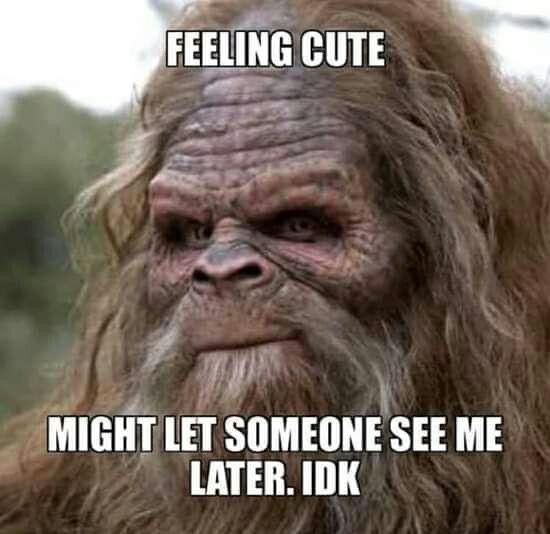 an old man with long hair and beards has the caption saying feeling cute might let someone see me later, idk