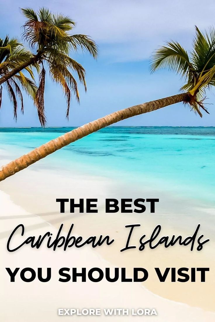 palm trees on the beach with text overlay that reads, the best caribbean islands you should visit