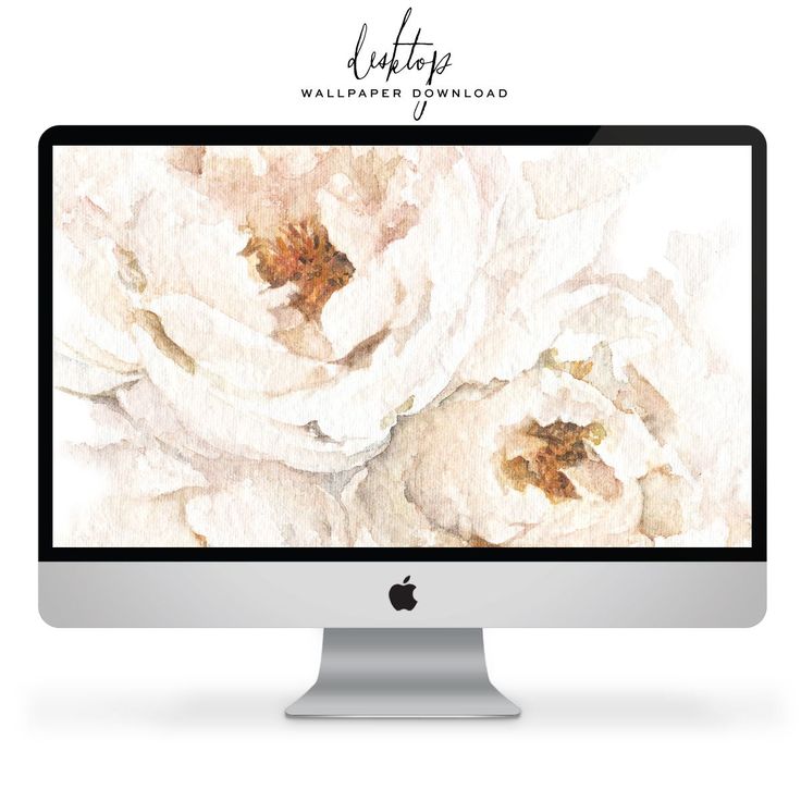 an apple computer with white flowers on the screen and text that reads, light rays valentine's day