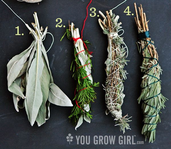 four different types of herbs tied together on a chalkboard with the words you grow girl written below