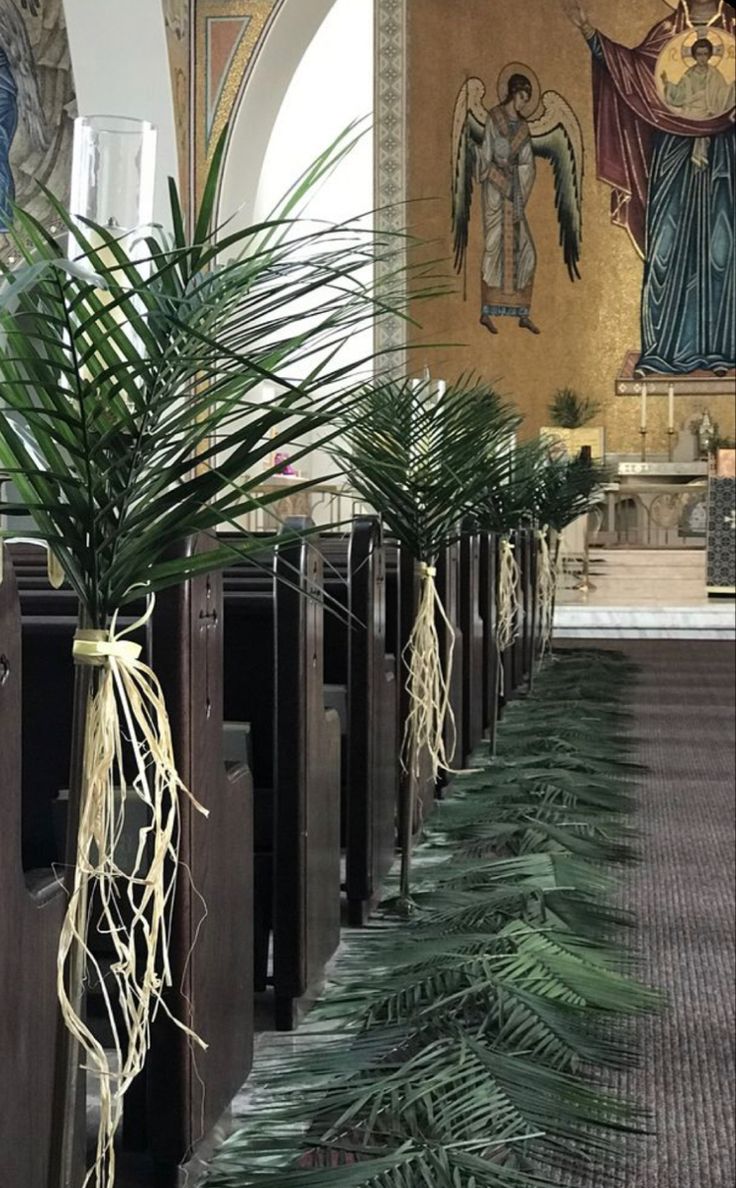 two rows of pews with plants in them