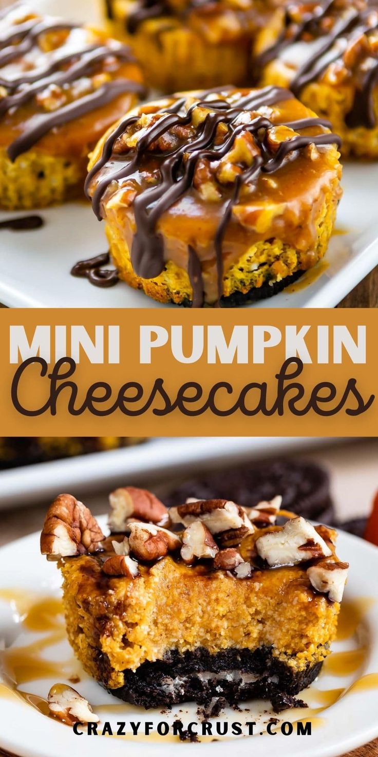 mini pumpkin cheesecakes with chocolate drizzled on top and nuts in the middle