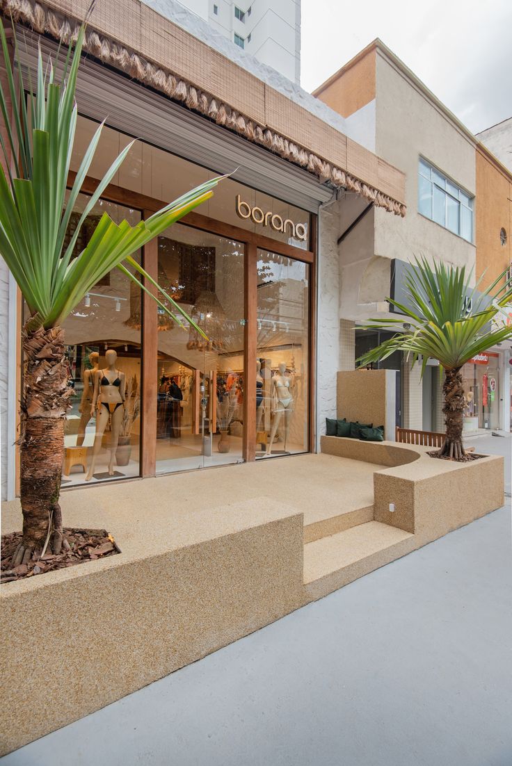 a store front with palm trees in the foreground