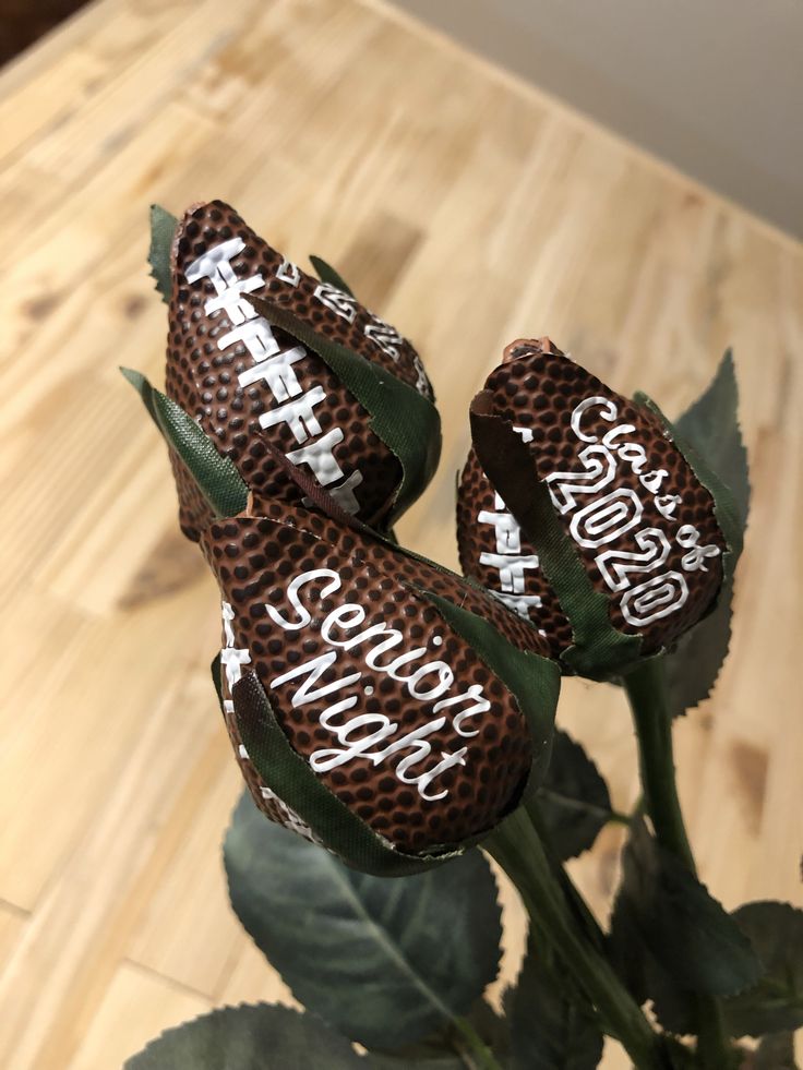 three chocolate footballs sitting on top of a green plant