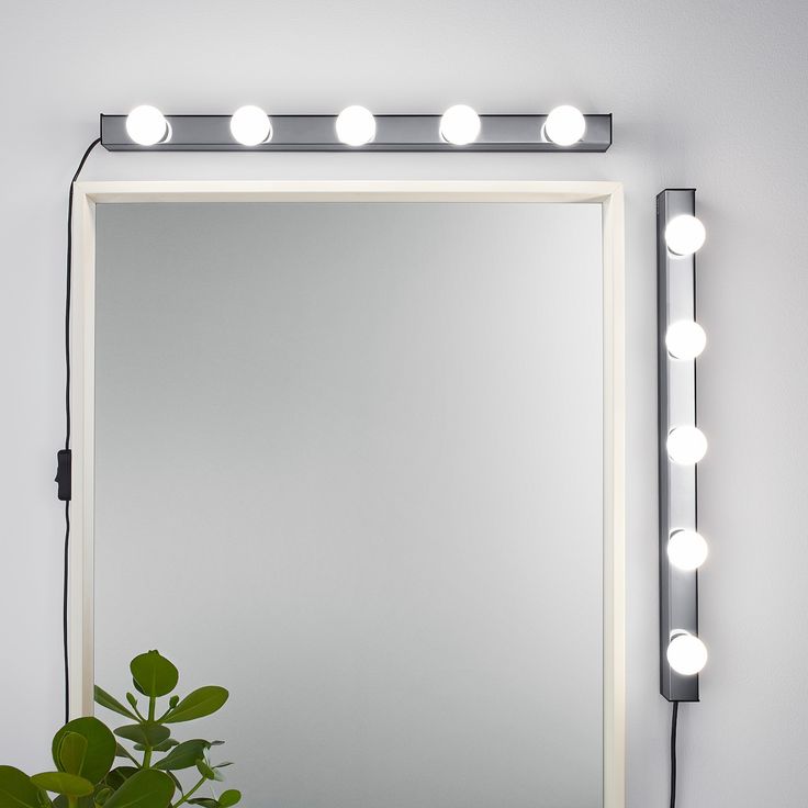 a mirror with lights on it and a potted plant