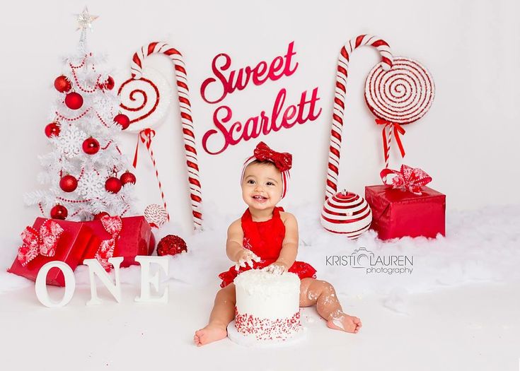 Cake Smash Inspiration, Family Studio Photography, Baby Birthday Themes, 1st Birthday Photos, Cake Smash Photos, Christmas Photography, Birthday Pictures, 1st Birthday Girls, Holiday Photos