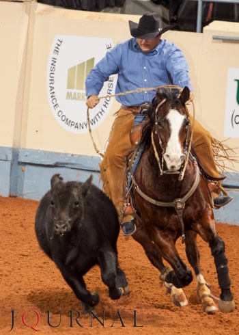 a man riding on the back of a brown horse next to a black cow in an arena