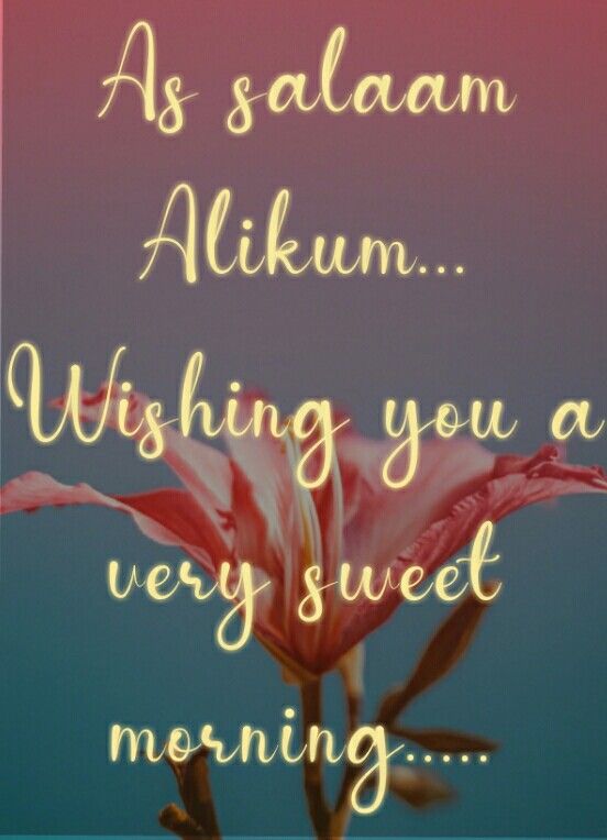 a pink flower with the words as salaam alukum wishing you a very sweet morning