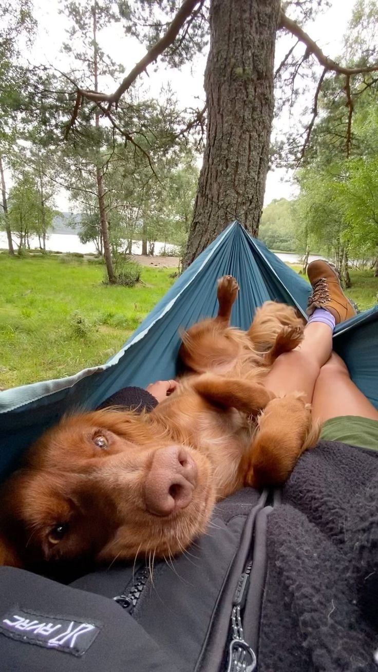 a woman laying in a hammock with her dog