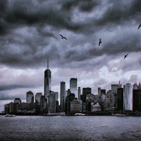 birds are flying over the city skyline on a cloudy day