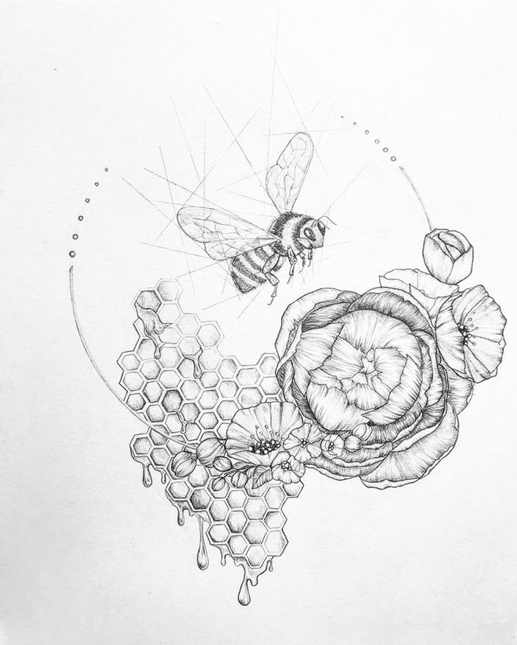 a pencil drawing of bees and flowers with honeycombs on the bottom right side