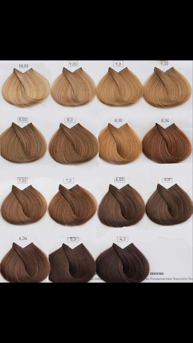 Hair Color Swatches, Caramel Brown Hair, Brown Hair Shades, Beige Hair, Korean Hair Color, Honey Brown Hair, Brown Hair Looks, Stile Hijab, Hair Color Caramel