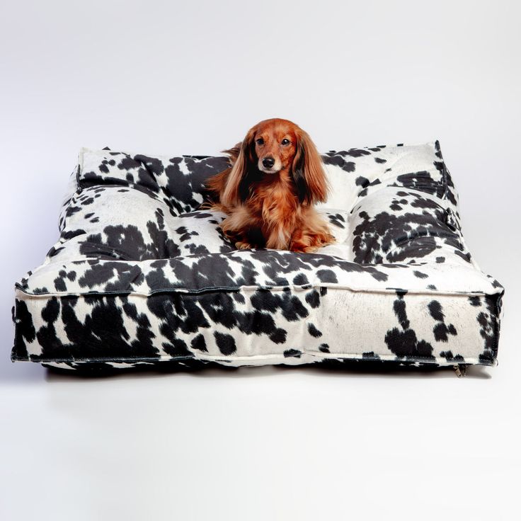 a long haired dog sitting on a black and white spotted dog bed