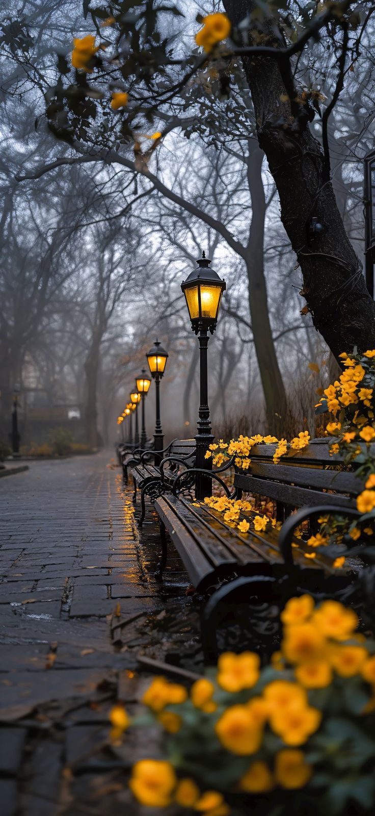 a row of park benches sitting next to each other on a sidewalk covered in yellow flowers