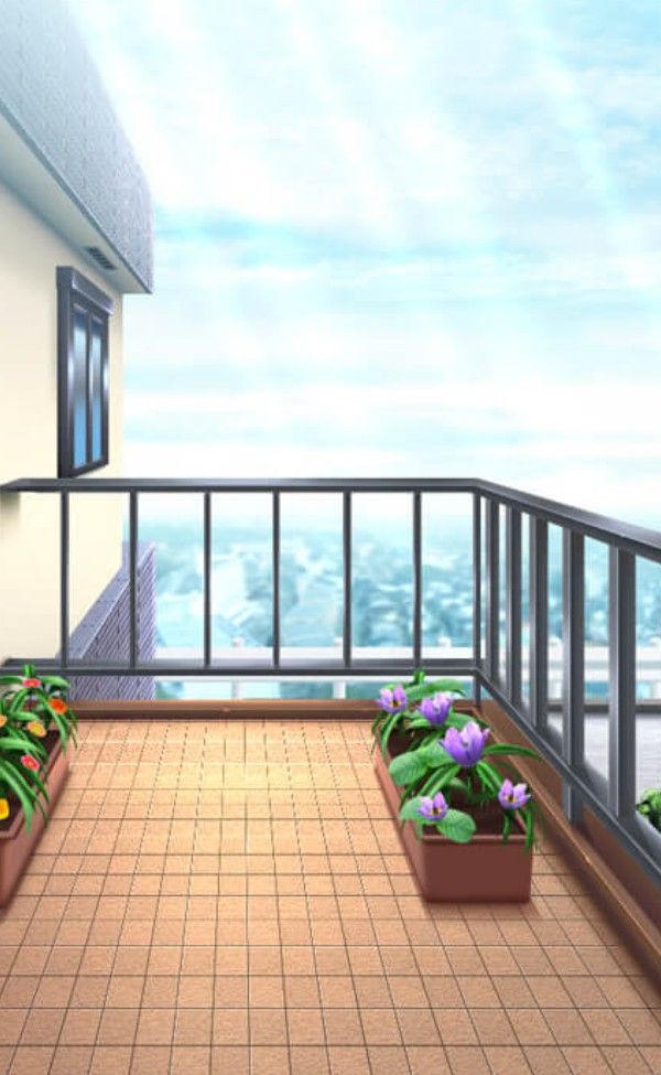 a balcony with potted plants on the floor