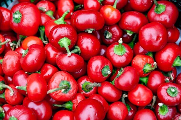 a bunch of red peppers with green leaves on them in a bowl, ready to be eaten