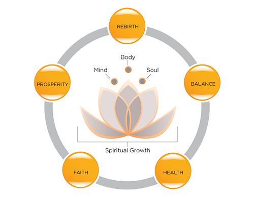 the seven chakras with their corresponding names in orange and white, surrounded by circles