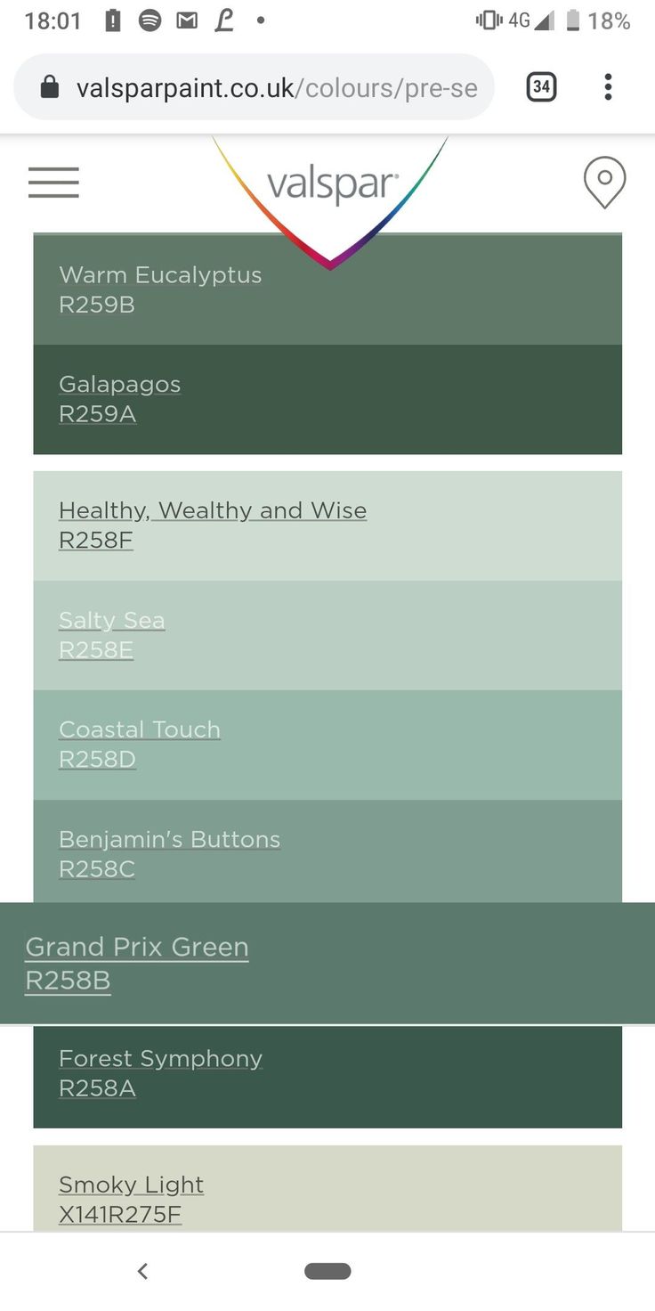 the color scheme for valparan's website