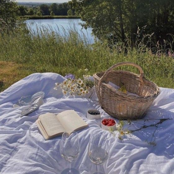 an open book and some wine glasses on a blanket by the water with flowers in it