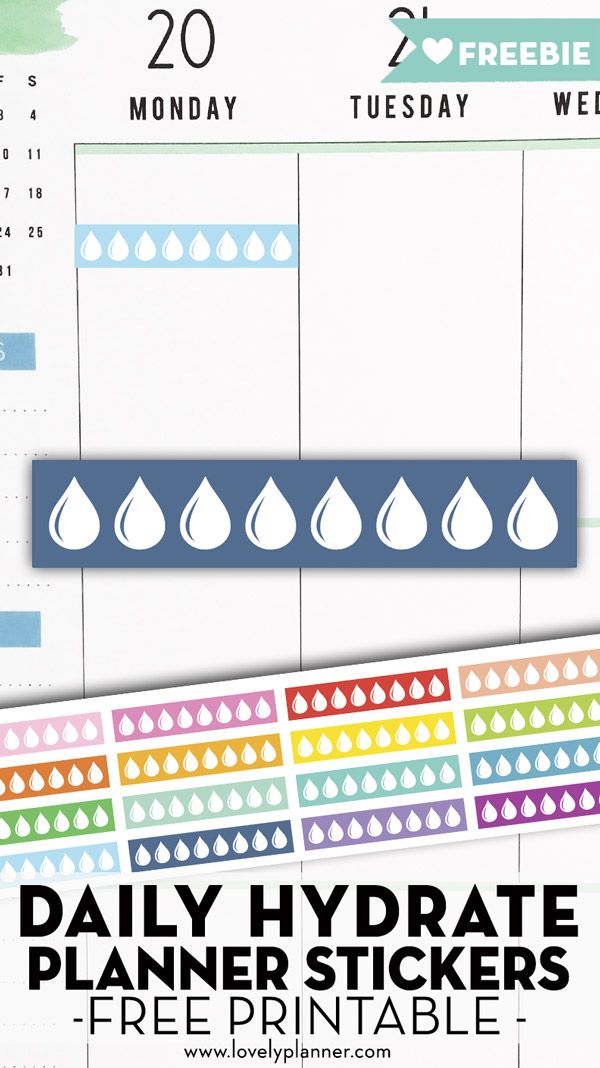 the daily planner stickers are shown with water drops on them and text that reads, daily