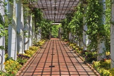 the walkway is lined with plants and flowers