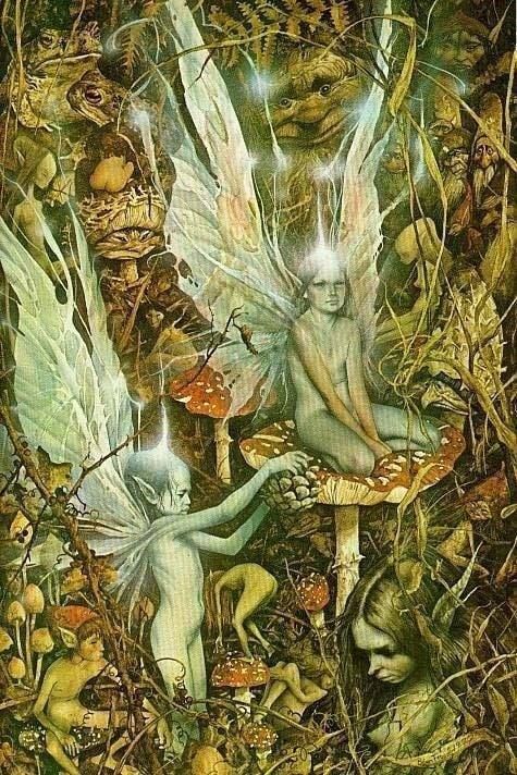 Alan Lee Art, Faerie Realm, Alan Lee, Creature Fantasy, Faery Art, Favorite Paintings, Brian Froud, Heroic Fantasy, Elves And Fairies