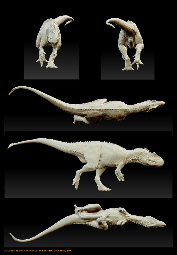 four different types of dinosaurs on black background