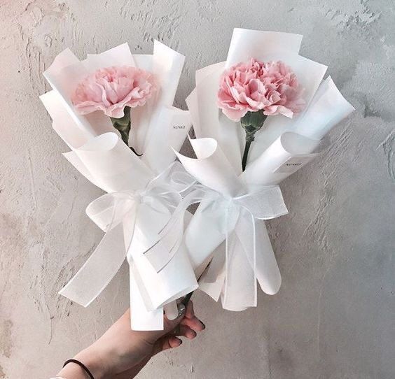 two pink carnations wrapped in white paper and tied to a wall with ribbon