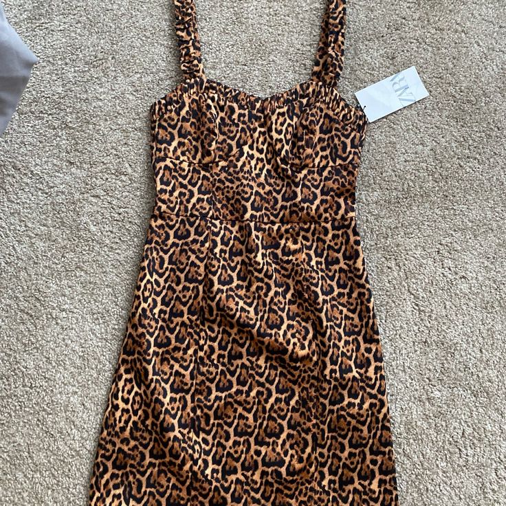 Leopard Print Cocktail Mini Dress. Sleeveless. Leopard. Trendy. Never Worn! Nwt Fitted Leopard Print Mini Dress For Vacation, Leopard Print Sleeveless Mini Dress For Day Out, Sleeveless Leopard Print Mini Dress For Day Out, Brown Stretch Dress For Vacation, Sleeveless Stretch Mini Dress In Leopard Print, Stretch Leopard Print Sleeveless Mini Dress, Zara Sleeveless Bodycon Mini Dress, Fitted Sleeveless Mini Dress In Leopard Print, Sleeveless Stretch Leopard Print Mini Dress