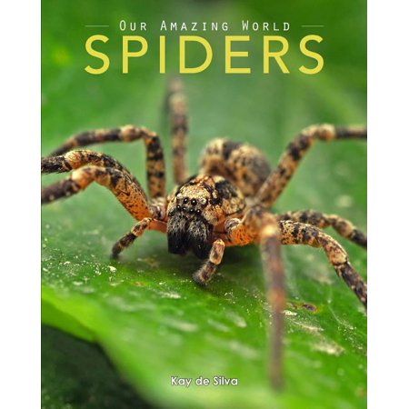 a close up of a spider on a leaf with the caption our amazing world