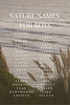 nature names for boys on the beach with water and grass in the foreground photo