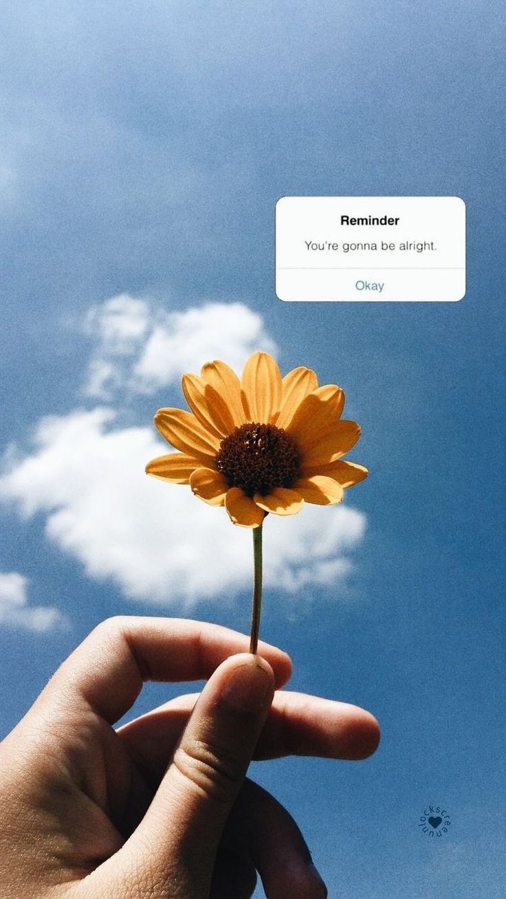 a person holding a yellow flower in front of a blue sky with white puffy clouds