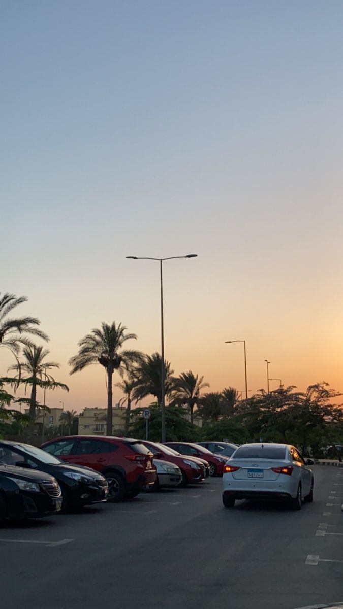 a parking lot filled with lots of cars next to tall palm trees at sunset or dawn