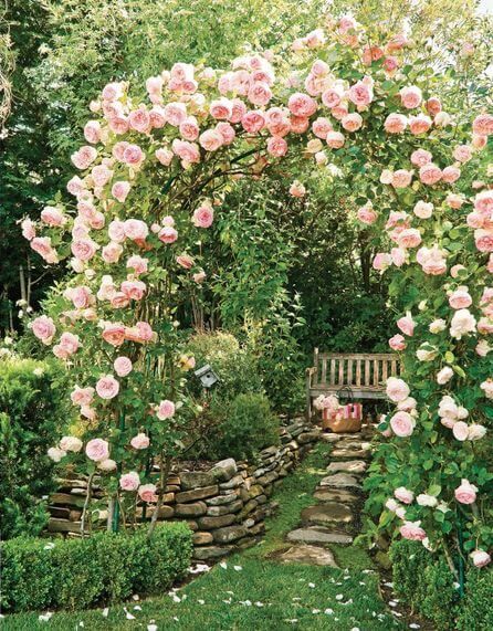 a garden filled with lots of pink flowers