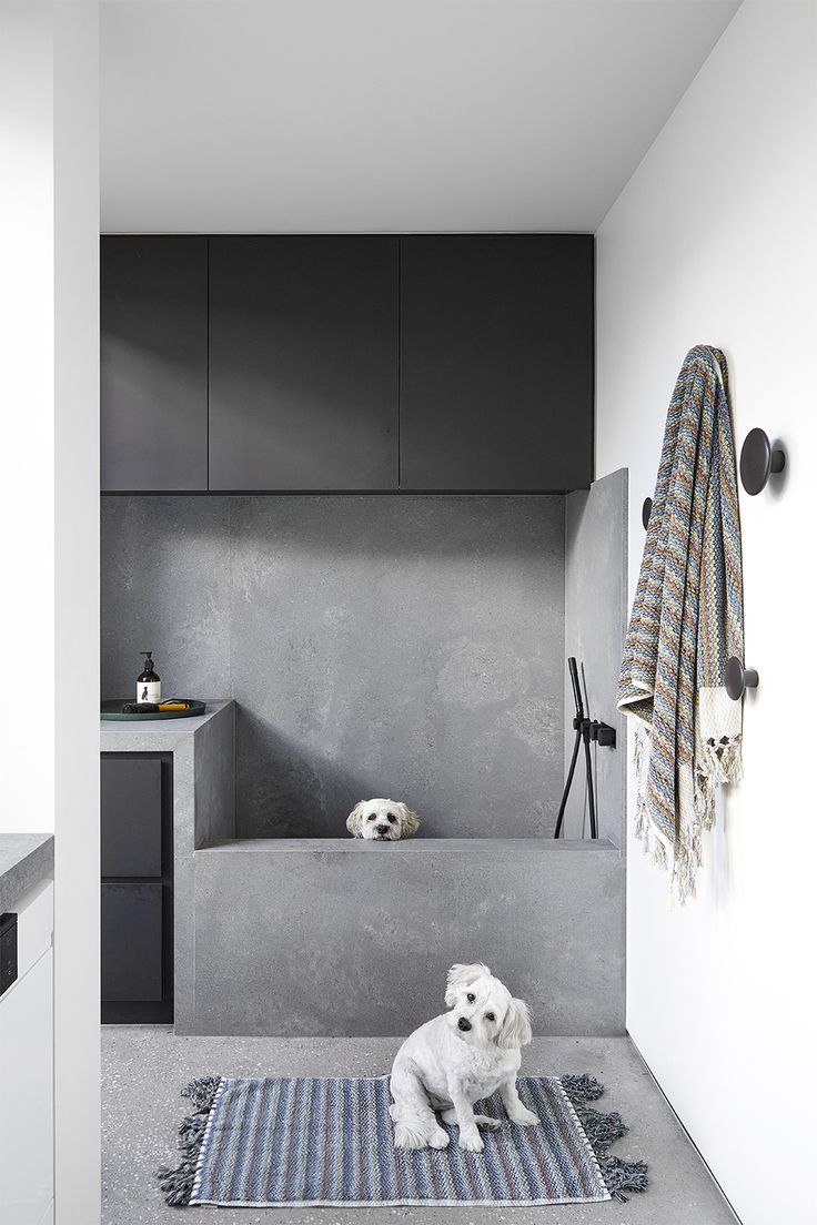 a white dog sitting on top of a rug next to a bathtub in a bathroom