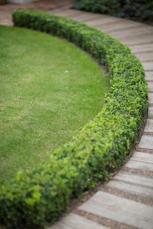 an empty bench sitting in the middle of a grass covered park area next to a brick walkway