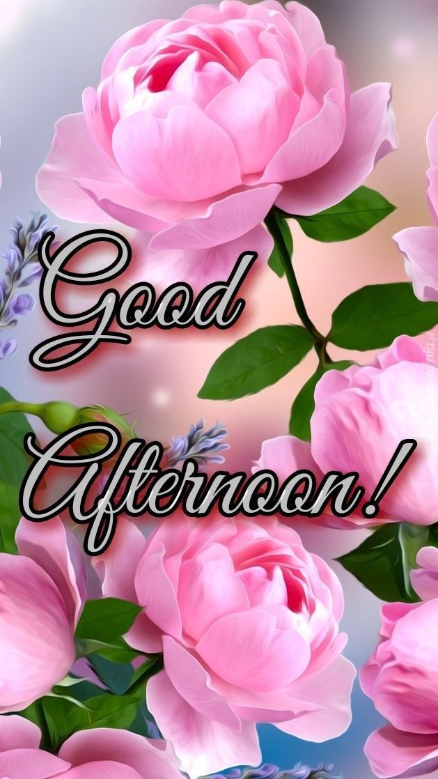 pink flowers with the words good afternoon on them