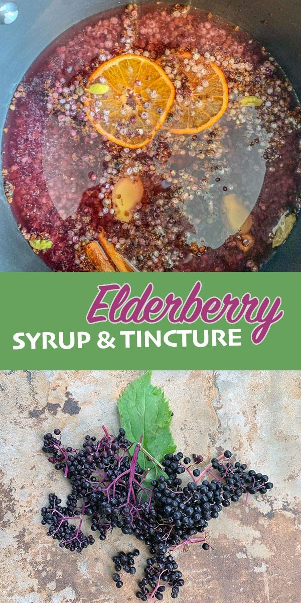 elderberry syrup and tincture recipe in a pot