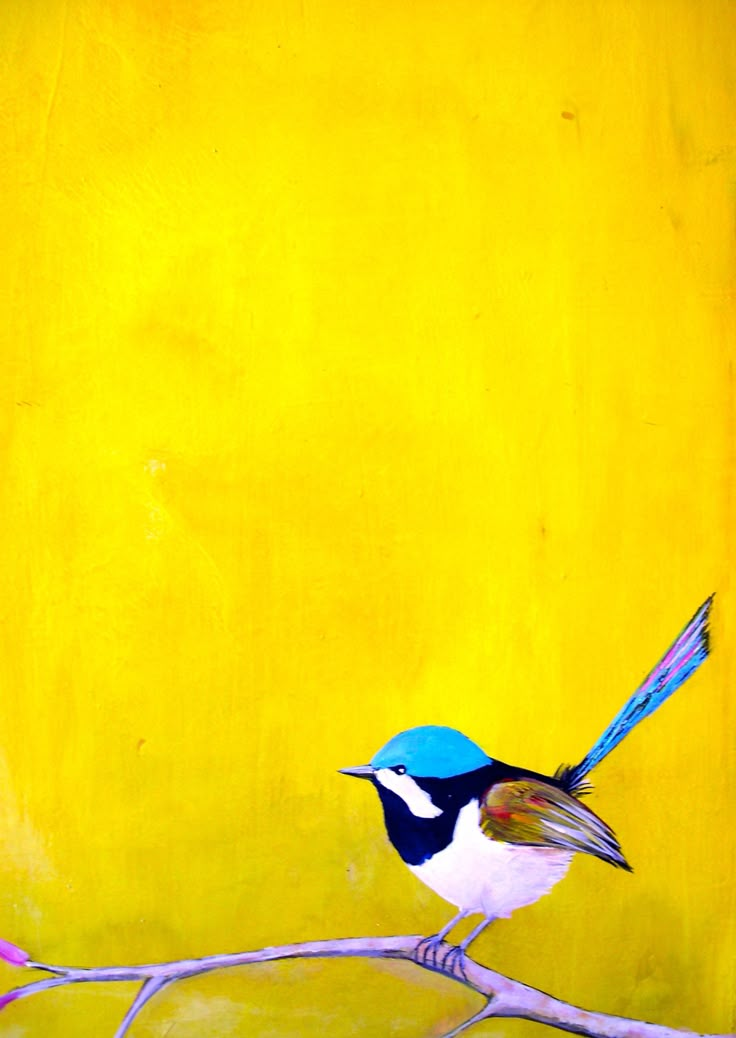 a blue and white bird sitting on top of a tree branch next to a yellow wall