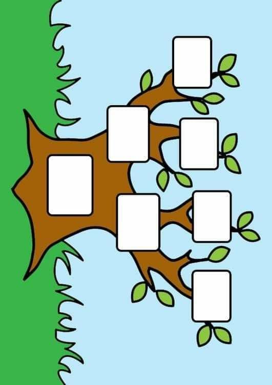 a family tree is shown with four frames on the top and bottom branches, as well as three rectangles