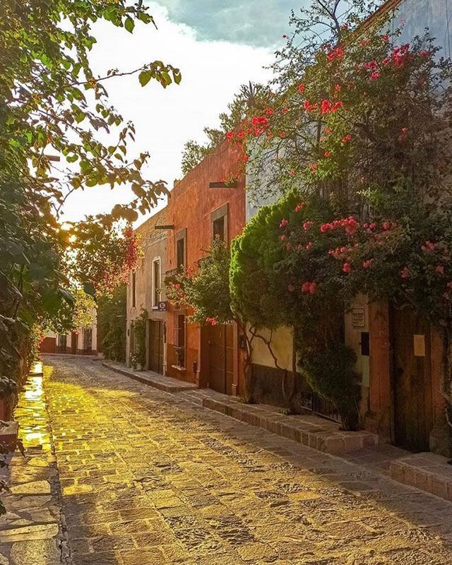 an empty street lined with trees and flowers on either side of the road are brick buildings