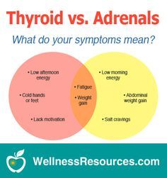 A sluggish thyroid and adrenal fatigue often have similar symptoms with important differences. Discover what your symptoms mean! Lung Cleanse, Adrenal Fatigue Symptoms, Low Thyroid, Thyroid Symptoms, Addisons Disease, Adrenal Health, Hashimotos Disease, Wellness Resources, Thyroid Health