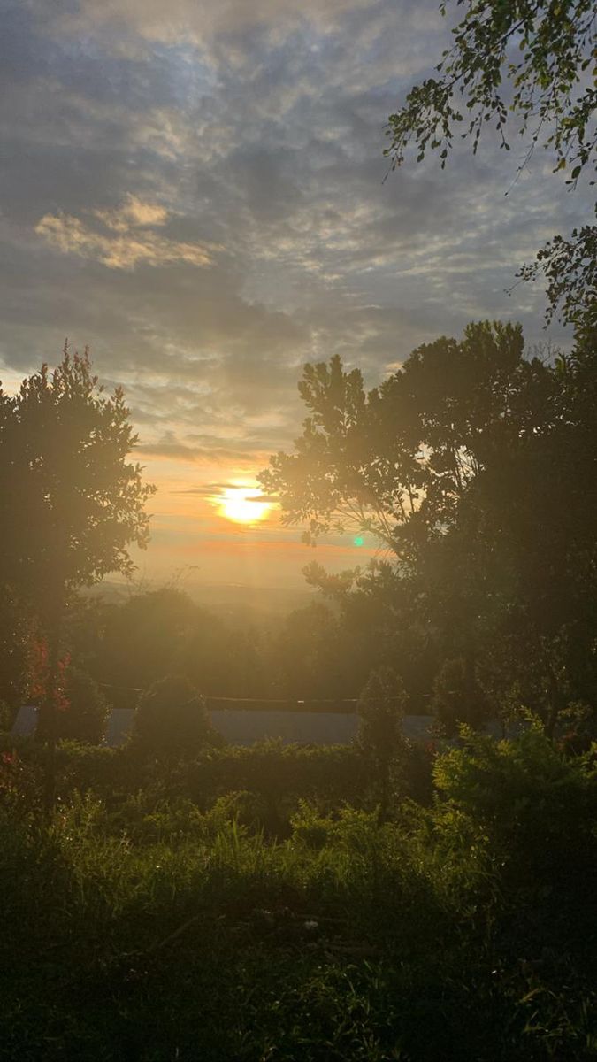 the sun is setting behind some trees and bushes in the foreground, with an overcast sky