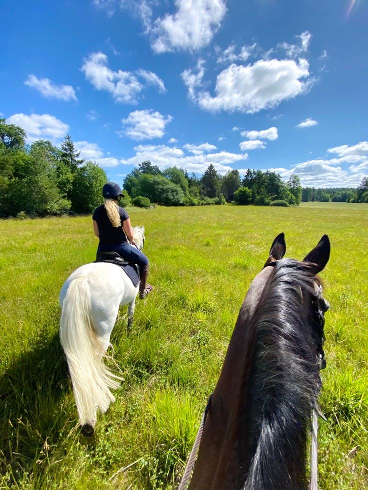 two people are riding horses through the grass on a sunny day with trees in the background