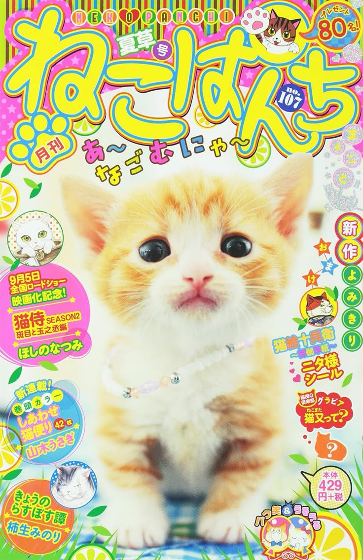 an orange and white kitten on a magazine cover