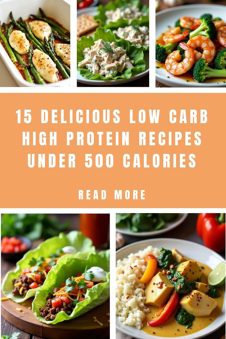 Assorted low-carb, high-protein dishes, including shrimp, lettuce wraps, and stuffed peppers, highlighted in a collage. Healthy Low Carb Meals, Low Carb High Protein Recipes, Low Carb High Protein Meals, Recipes Under 500 Calories, Meals Under 500 Calories, Greek Yogurt Chicken Salad, Greek Yogurt Chicken, High Protein Meals, Low Carb High Protein