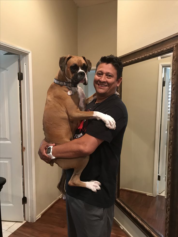 a man holding a dog in his arms and smiling at the camera while standing in front of a mirror